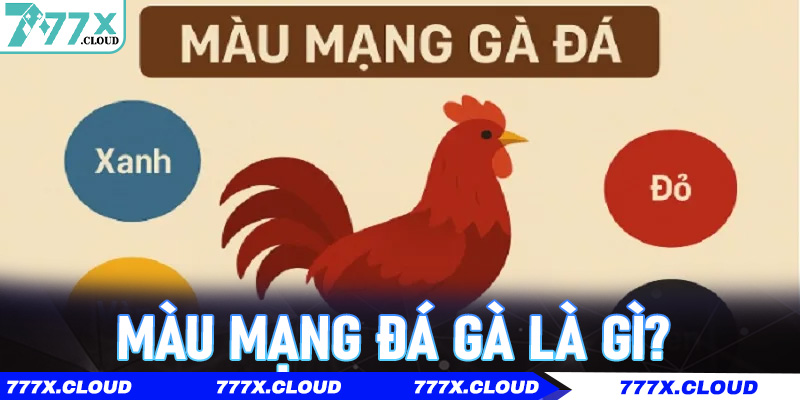Màu Mạng Đá Gà là gì? Vì sao sư kê lâu năm luôn xem trước khi đá