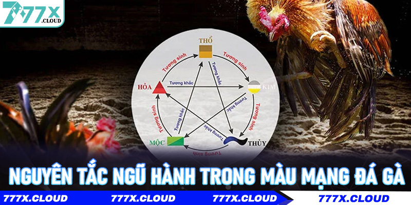Nguyên tắc ngũ hành trong Màu Mạng Đá Gà
